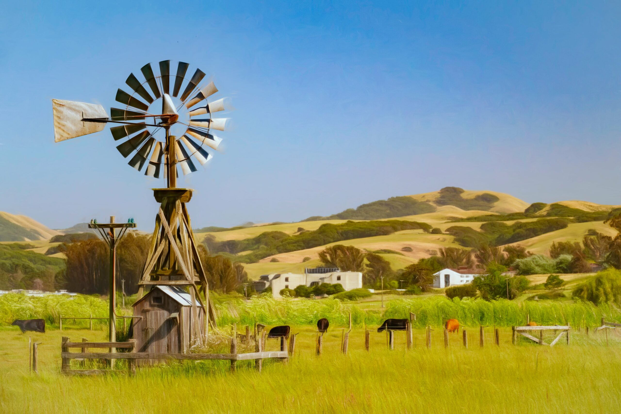 land-owners